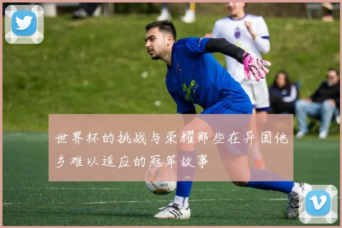 世界杯的挑战与荣耀那些在异国他乡难以适应的冠军故事